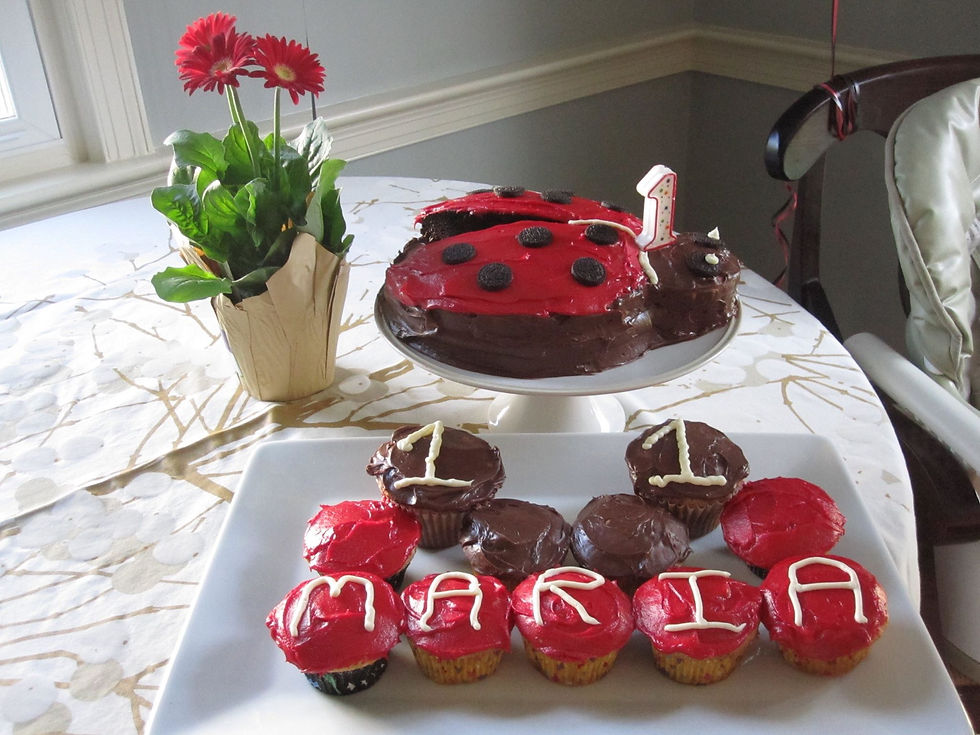 2015 ladybug