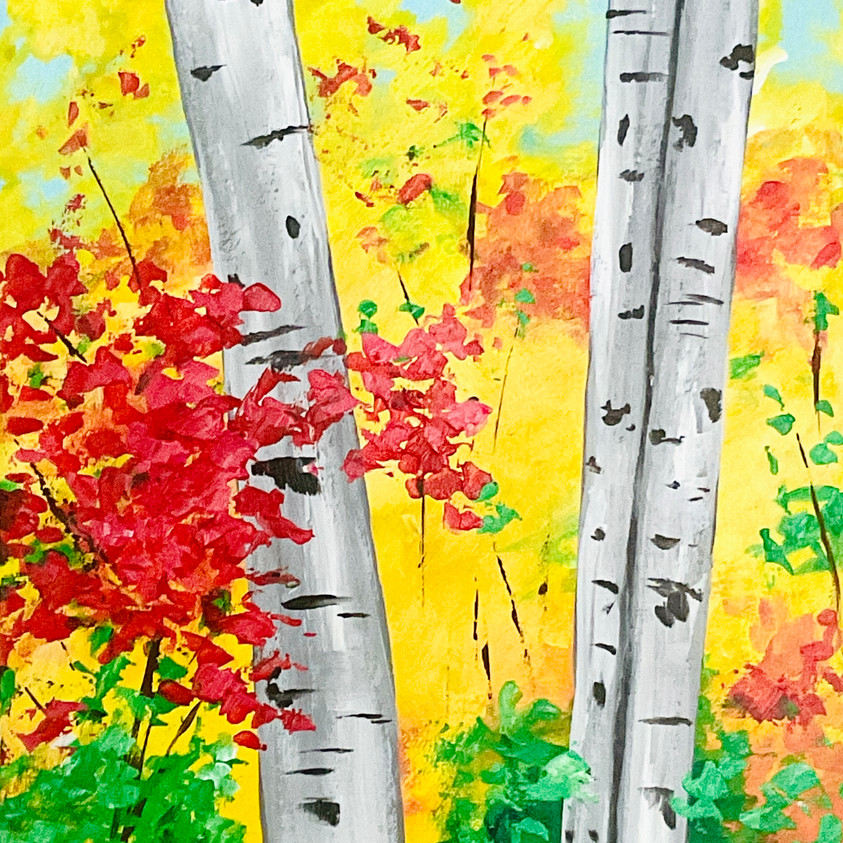 birch trees.jpeg
