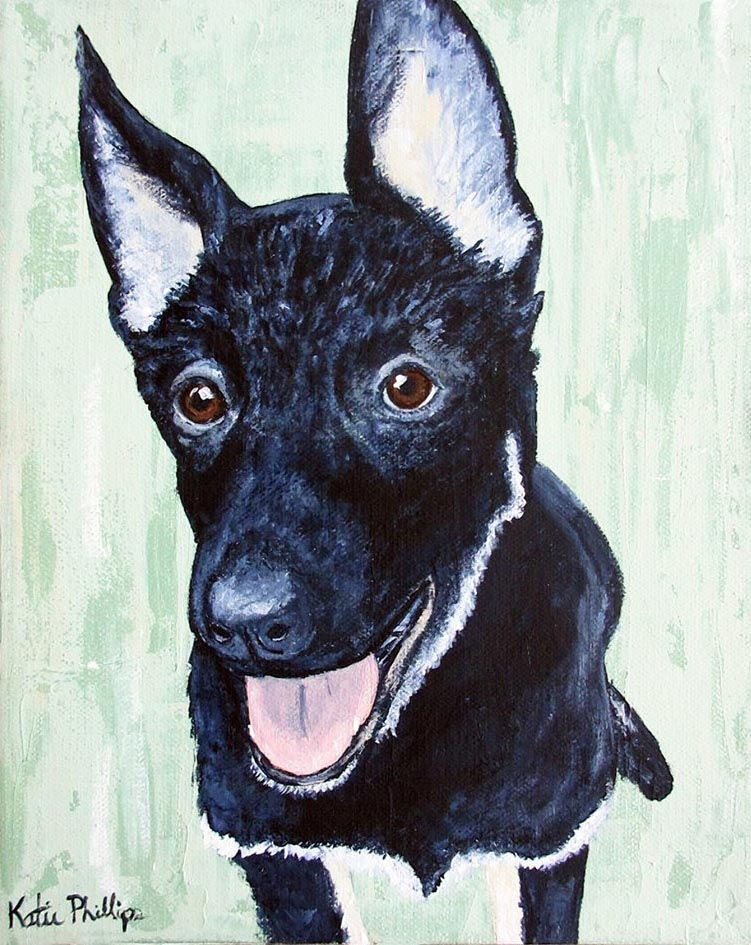 Thumbnail: Pet Portraits