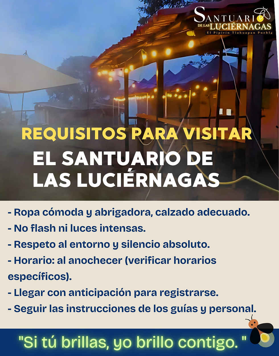 requisitos para visitar el santuario de las luciérnagas