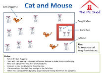 Cat and Mouse PE Game