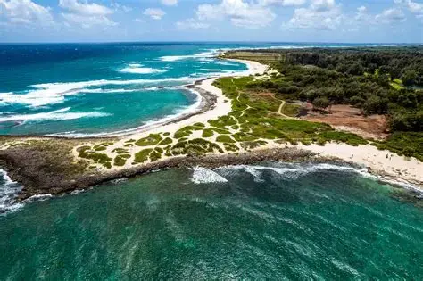 Kalaeokaunaʻoa (Kahuku Point) Volunteer Workday