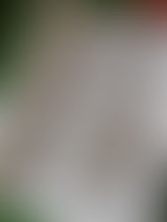 Pilot label is ready