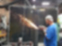 HHY employee welding.jpg