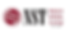 1111-hurst-logo.png