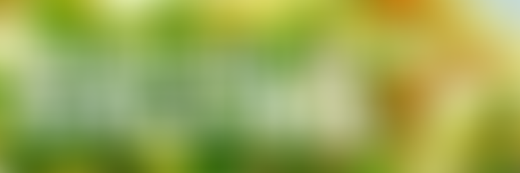 ¡Ensalada de gallina Ima’s style!