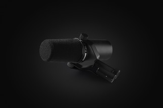 SHURE.jpeg