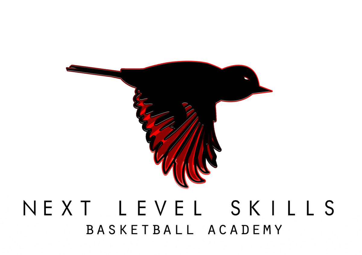 Next Level Skills Basketball Academy