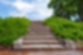 AdobeStock_440834586.jpeg