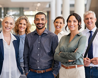 Group of professionals