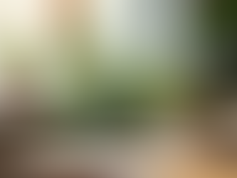 How Personalized Health Coaching Transforms Lives