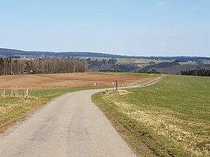 157787256_5986908994668275_6359950984947