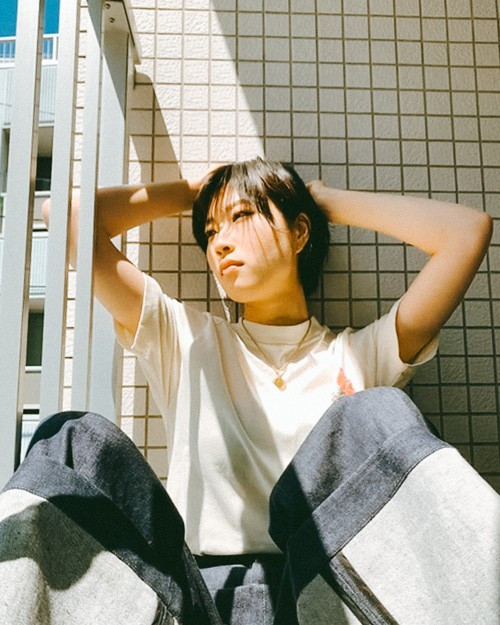 サムネイル： Zoom Preset Collection-No.3 Clover
