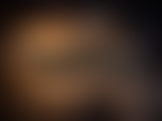 The General's Briefing