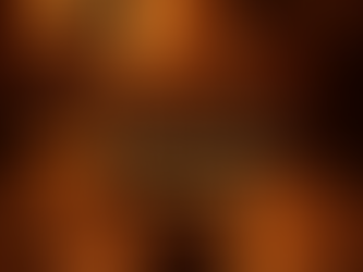 Before the Vigil The Mission Brief