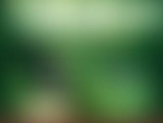 The Speck and the Beam