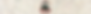 SNAPA- Conference Header- 2025 (800 x 175 px).png
