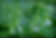 skullcap080-gallery6.jpg