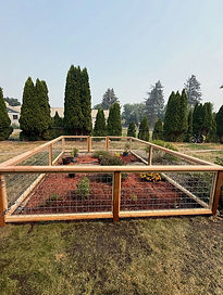 Small fenced garden with red mulch and evergreen trees.