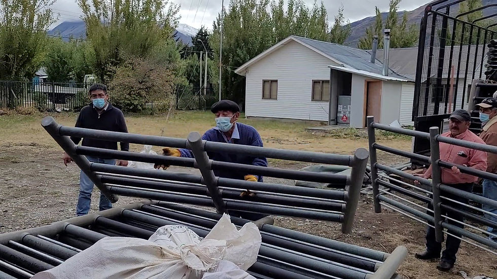 Miniatura: CORRAL GANADERO CAPRINO