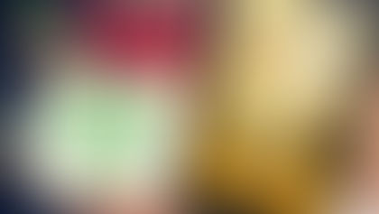 Christmas Gift: Goose Girl