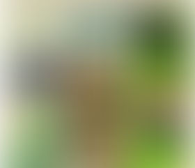 Frog Prince: the original fairy tale