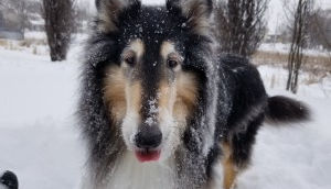 Happy Mother’s Day!