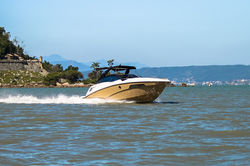 FS275Wide (5 of 22).jpg