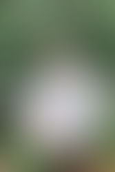 準備はいつだってできている