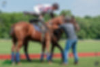 Greenwich-Polo-Club_0151_07112019_RoFern