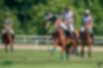 Greenwich-Polo-Club_0454_07112019_RoFern
