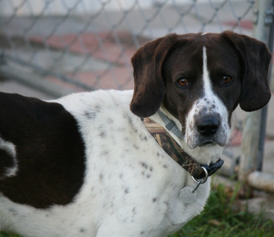 Sampson 015 (1)