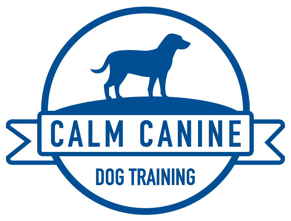 Calm hotsell dog training