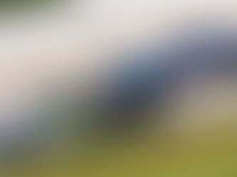 RESULTS: Birch Run Speedway, Friday, May 29, 2026