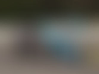 THE EMPIRE STATE OF NEW YORK TO HOST MUST SEE RACING OPENER