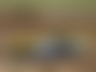 Michigan Dirt Super Late Model Power Rankings 06/06/24