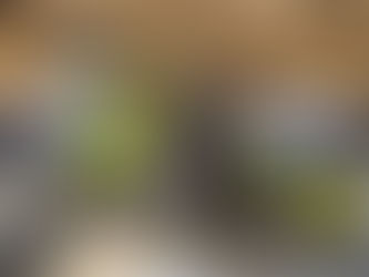 A Dream 16 Years in the Making: Cassten Everidge Announces NASCAR Truck Series Debut