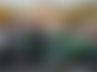 Purvis Threads Needle Around Nester for Midwest Modifieds Tour Winchester Win