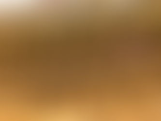 Ricky Thornton Jr. Clinches LOLMDS Title at Eldora Speedway