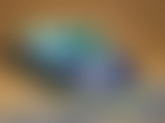 Tyler Erb Wires Northern Allstars Late Model Series Stop at Lawrenceburg