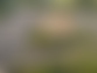 More Details Including Tire & Throwdown Invite List Released for Dan Salay Memorial