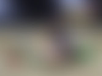 RESULTS: Owosso Speedway, Saturday, July 25, 2026