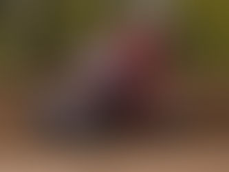 Michigan Winged Sprint Car Power Rankings Presented by Home Pro Roofing: Week 3