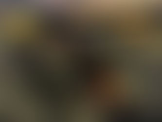RESULTS: Berlin Raceway, Friday, June 26, 2026
