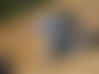 POWER RANKINGS: Dirt Winged Sprint Cars, Week 2, May, 2026