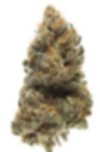 weed , cbd , smoke, buds, CBG, 420, hemp, legal, wolrd , can