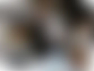 Understanding the Role of Human Error in Recent Cyber Security Breaches in Australia