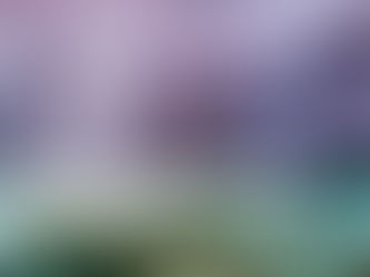 Navigating the Turbulent Waters: Recent Cyber Security Breaches in Australia