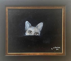 55. Cat hiding.jpg