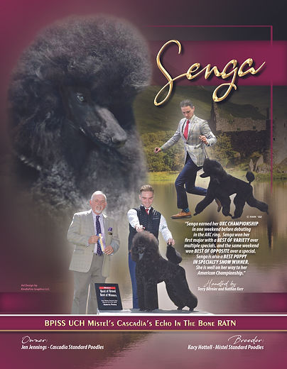 Senga.jpg